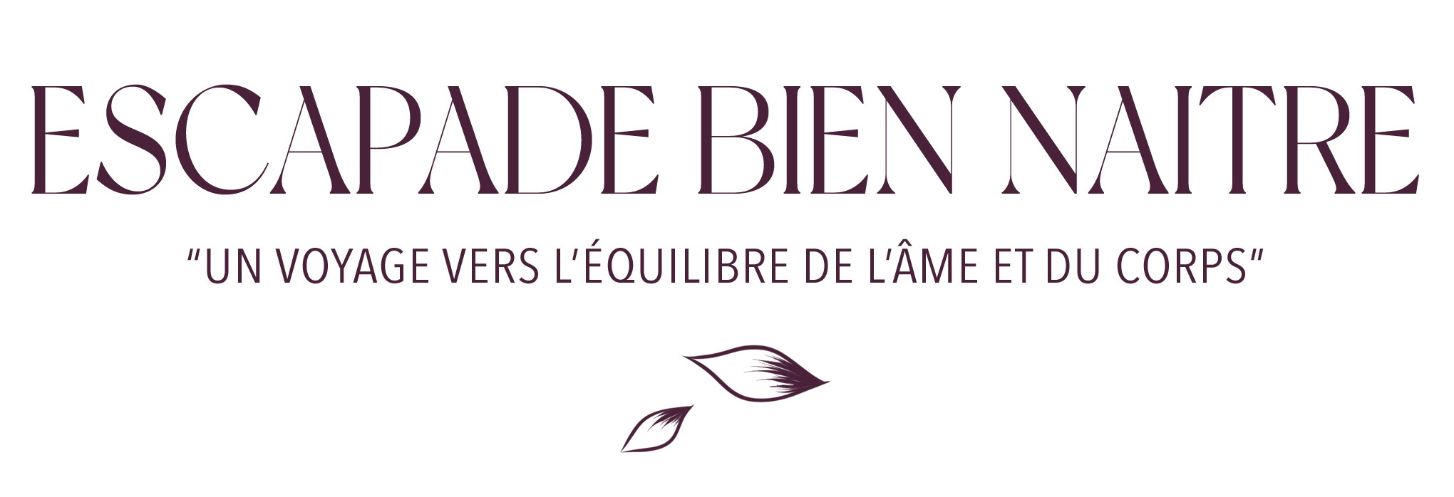 declinaison_1_EBN_couleur_1